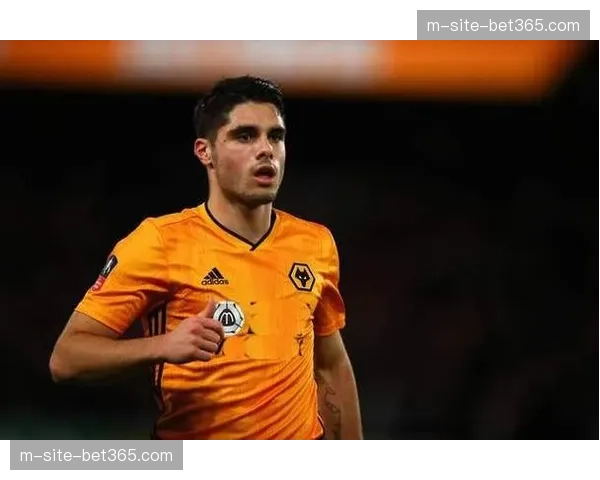 伯恩利狼队基本锁定降级名额,距离安全线分差达两位数 伯恩利狼队基本锁定降级名额,距离安全线分差达两位数